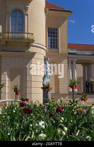 Château de Rheinsberg, Brandebourg, Allemagne Banque D'Images