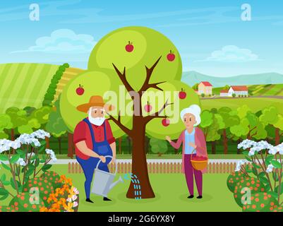 Les couples âgés travaillent dans l'illustration vectorielle de jardin de ferme. Caricature homme personnage senior dans le chapeau de travail, tenant arroser peut à l'eau pommier, femme debout avec panier de fruits fond Illustration de Vecteur