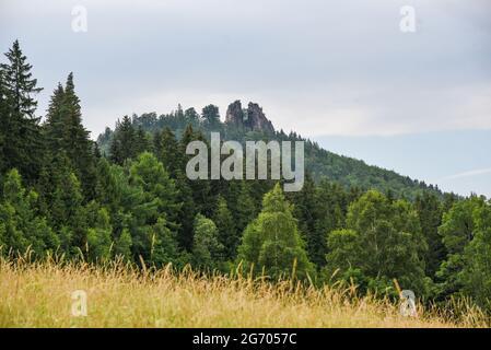 Paysage de montagne, montagnes Sokole en Pologne. Montagnes Sokoliki. Banque D'Images