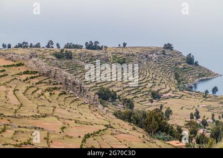 Terrasses agricoles sur l'île d'Amantani dans le lac Titicaca, Pérou Banque D'Images