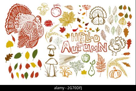 Bonjour automne. Un ensemble d'articles d'automne. Illustration vectorielle Illustration de Vecteur