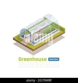 Serre hydroponique moderne vue isométrique extérieure avec 2 ouvriers plantant des semis et contrôlant les conditions climatiques illustration vectorielle Illustration de Vecteur