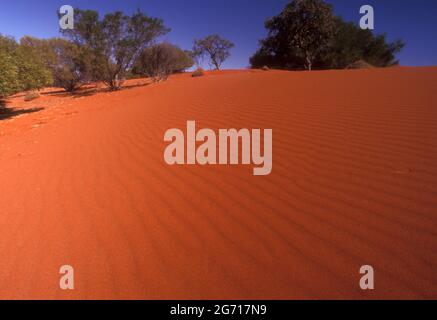 DUNES DE SABLE ROUGE DU GRAND DÉSERT DE SIMPSON, CENTRE DE L'AUSTRALIE. Banque D'Images