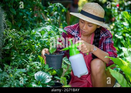 Jeune femme asiatique s'occupant de plantes dans un petit magasin de jardin. Contenant un pot de fleurs d'hortensia blanc en pot. Assis sur les genoux dans le walkw Banque D'Images