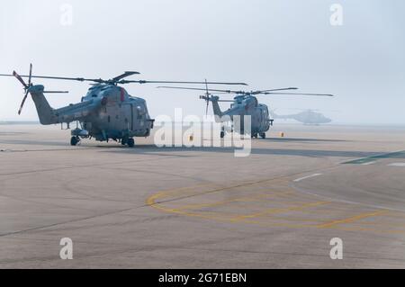 La Marine royale Lynx HMA8 hélicoptères du bras aérien de la flotte à la base aérienne de la Marine royale Yeovilton jusqu'à leur retraite du service naval en 2017 Banque D'Images