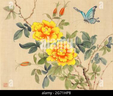 Peinture chinoise sur soie, fleurs jaunes et papillon bleu. Rosiers et paon chinois. Banque D'Images