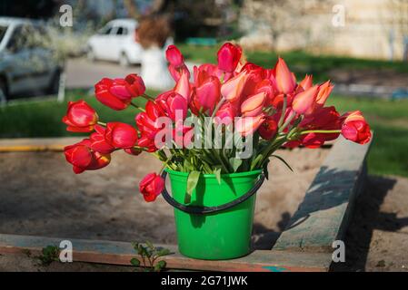 Belles fleurs de printemps tulipes dans le seau sur la rue de la ville Banque D'Images