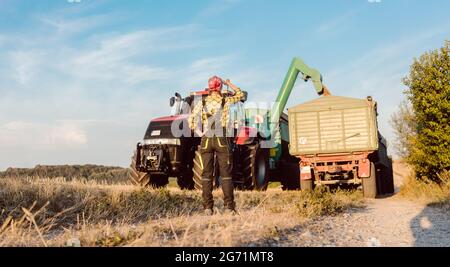 Femme ferme suivi de l'avancement de la récolte et le transport des céréales sur place Banque D'Images