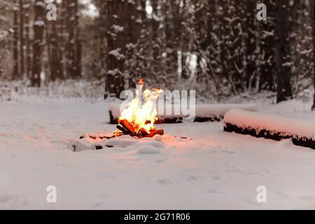 Feu de joie brillant brûlant sur un sol enneigé près des rondins en hiver soir dans les bois Banque D'Images