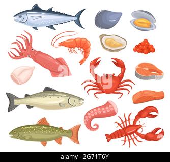 Dessins animés fruits de mer. Poisson frais, huîtres, homard, thon rouge, saumon, pieuvre, crevettes, calmar. Ensemble vectoriel de produits alimentaires gastronomiques à base d'animaux marins crus. Menu du café ou du restaurant avec cuisine de fruits de mer Illustration de Vecteur
