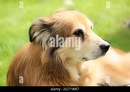 Portrait d'un chien de race mixte de Roumanie dans le jardin au printemps, dans le style d'un dessin doux avec des peintures acryliques Banque D'Images