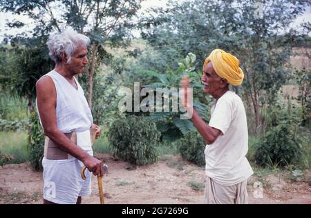 INDE, fleuve Narmada et barrages, à gauche: Activiste social Murlidhar Devidas Amte 1914-2008, appelé Baba Amte, il était un disciple de Mahatma Gandhi et a fondé l'Ashram Anandwan pour les personnes souffrant de la lèpre, ici à son ashram à Kasrawad au fleuve Narmada, Pour soutenir la lutte de Narmada Bachao Andolan NBA, mouvement pour sauver la Narmada, contre les grands barrages dans la vallée / INDIEN, Narmada Fluss und Staudaemme, Murlidhar Devidas Amte, Baba Amte Banque D'Images