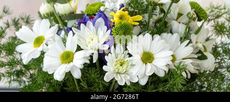 bannière avec fond floral. Gros plan chrysanthèmes blancs, jaunes et verts mise au point douce Banque D'Images