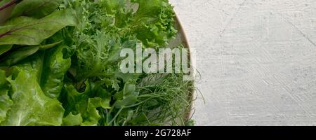 Bannière avec plaque avec différents types de salades sur table blanche texturée avec espace pour votre texte. Jeunes pousses juteuses de pois ou de haricots, pousses de betteraves et salade verte. Concept alimentaire sain. Mise au point douce. Banque D'Images