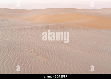 Dunes de sable à Bridport, Tasmanie, Australie Banque D'Images