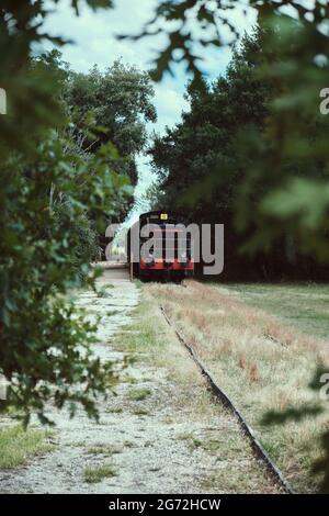 Locomotive noire et rouge à travers le feuillage vert, Marquèze, France Banque D'Images