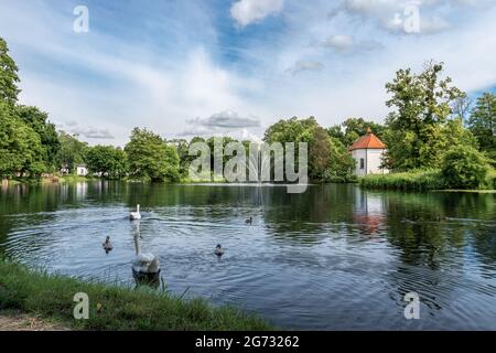 Belle vue sur l'étang à Zwierzyniec, Roztocze, Pologne. Parc et célèbre église Saint-Jean de Nepomuk sur l'île en arrière-plan. Groupe de cygnes i Banque D'Images