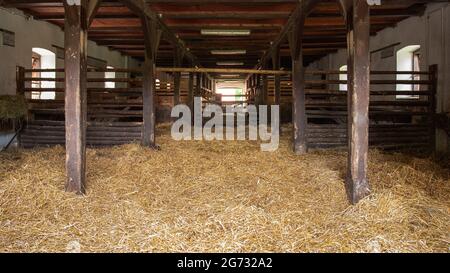 Intérieur de l'écurie dans l'élevage de chevaux à Florianka, Zwierzyniec, Roztocze, Pologne. Nettoyer le foin couché sur le sol Banque D'Images