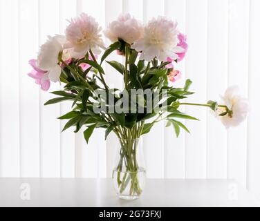 Pivoines roses dans le vase près de la fenêtre. Bouquet de belles pivoines près de la fenêtre Banque D'Images