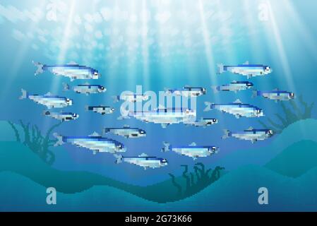 École de colonies de poissons près du fond de l'océan image réaliste sous-marine avec rayons du soleil pénétrant vecteur de l'eau illustration Illustration de Vecteur