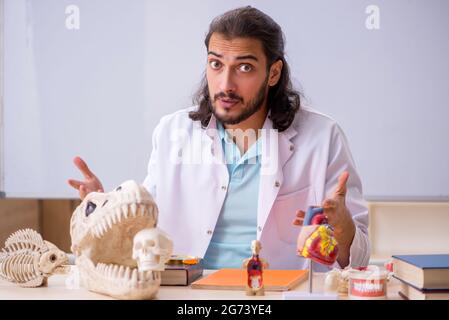 Jeune paléontologue devant le tableau blanc Banque D'Images