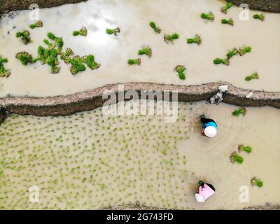 Belle terrasse de riz dans le nord de Tu le vallée Vietnam Banque D'Images