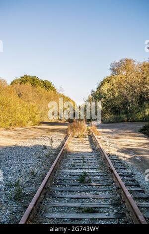 Un embranchement de chemin de fer abandonné à Wilder Ranch, Santa Cruz, Californie. Voies parallèles surdéveloppées mais réparables qui disparaissent au loin. Banque D'Images