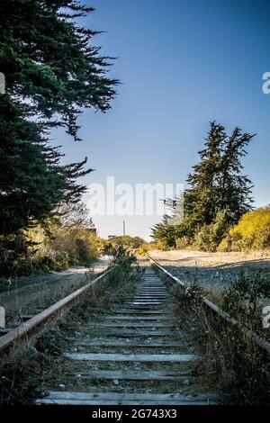 Un embranchement de chemin de fer abandonné à Wilder Ranch, Santa Cruz, Californie. Voies parallèles surdéveloppées mais réparables qui disparaissent au loin. Banque D'Images