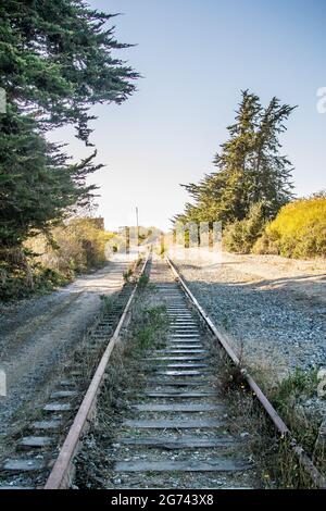 Un embranchement de chemin de fer abandonné à Wilder Ranch, Santa Cruz, Californie. Voies parallèles surdéveloppées mais réparables qui disparaissent au loin. Banque D'Images