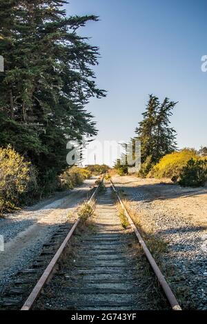 Un embranchement de chemin de fer abandonné à Wilder Ranch, Santa Cruz, Californie. Voies parallèles surdéveloppées mais réparables qui disparaissent au loin. Banque D'Images
