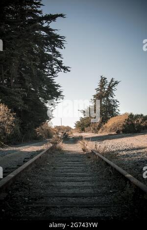 Un embranchement de chemin de fer abandonné à Wilder Ranch, Santa Cruz, Californie. Voies parallèles surdéveloppées mais réparables qui disparaissent au loin. Banque D'Images