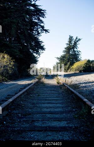 Un embranchement de chemin de fer abandonné à Wilder Ranch, Santa Cruz, Californie. Voies parallèles surdéveloppées mais réparables qui disparaissent au loin. Banque D'Images