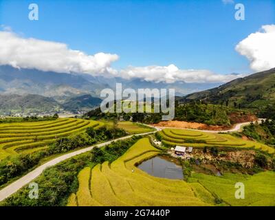 Riz paddy dans la province de Yen Bai Vietnam Banque D'Images