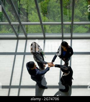 Les partenaires d'affaires se joignent à eux dans un bureau moderne. Se tenir près de la fenêtre pendant que la lumière du soleil les éclaire. Il y a une ombre sur le parquet Banque D'Images