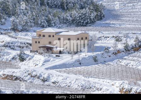 Vignobles enneigés près du village de la Morera de Montsant, dans le Priorat DO (appellation d'origine) (Priorat, Tarragone, Catalogne, Espagne) Banque D'Images