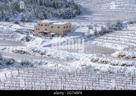 Vignobles enneigés près du village de la Morera de Montsant, dans le Priorat DO (appellation d'origine) (Priorat, Tarragone, Catalogne, Espagne) Banque D'Images