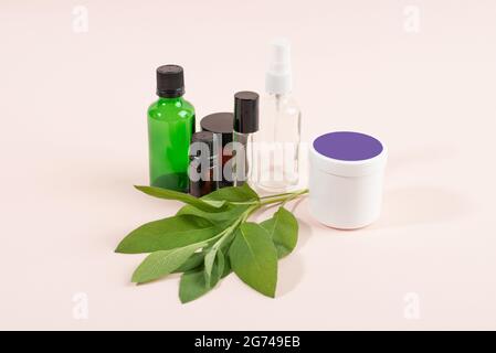 Récipients cosmétiques et feuilles de sauge sur fond clair. Maquette de la marque du SPA cosmétique. Concept de produit de beauté biologique. Banque D'Images