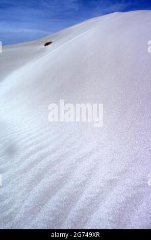 DUNES DE SABLE BLANC IMMACULÉ DE YANERBIE PRÈS DE LA VILLE DE CEDUNA SUR LA PÉNINSULE D'EYRE, AUSTRALIE MÉRIDIONALE. Banque D'Images