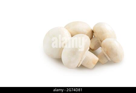 Gros plan sur un fond blanc de champignons blancs frais bio ou de Champignon. Champignons blancs frais isolés ou Champignon blanc avec un chemin de coupure autour de o Banque D'Images
