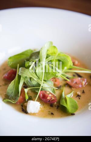 Salade Arrugula. Restaurant Jair Tellez' Laja, Valle de Guadalupe, Baja California Norte, Mexique Banque D'Images