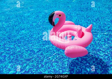 Cercle de flamants roses dans la piscine. Mise au point sélective. Eau. Banque D'Images