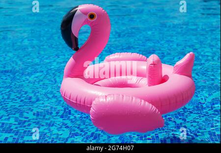 Cercle de flamants roses dans la piscine. Mise au point sélective. Eau. Banque D'Images