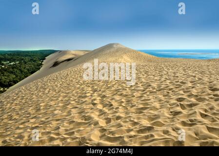 Célèbre Dune du Pilat et forêt de pins, situé à La Teste-de-Buch dans la région de la Baie d'Arcachon, dans le département de la Gironde et le sud-ouest de la France Banque D'Images