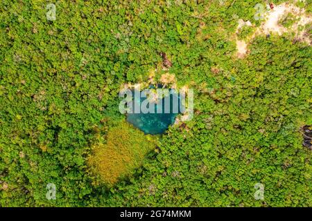 Cénote en forme de coeur au milieu d'une jungle à Tulum, au Mexique. Banque D'Images