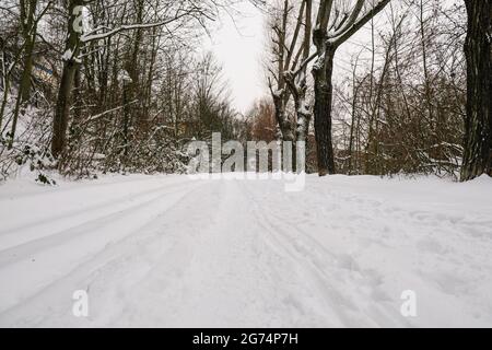 Le chemin enneigé le long du canal de Leipzig en hiver Banque D'Images