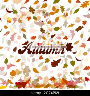Abstraction des feuilles d'automne. Arrière-plan des feuilles d'automne. Illustration vectorielle Illustration de Vecteur