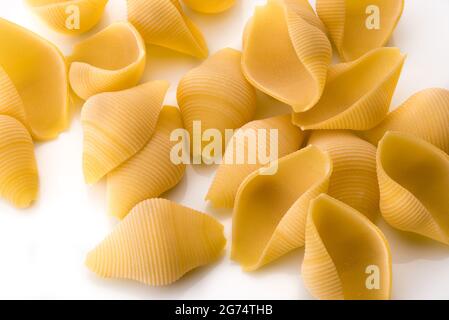 Pâtes sèches italiennes en bronze conchiglioni, à l'état brut, dessinées isolées sur fond blanc. Produit à Gragnano, Naples, Italie Banque D'Images