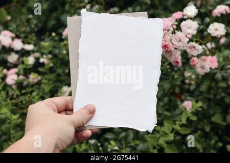 Main de femme tenant une carte de vœux vierge et une enveloppe en papier. Roses roses fleurs dans le jardin. Moody Spring mariage papeterie maquette. Anniversaire Banque D'Images