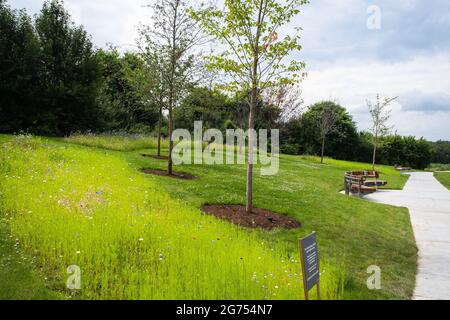 Londres, Royaume-Uni- 2021 juillet : London Blossom Garden Covid-19 Living Memorial, Parc olympique Queen Elizabeth Banque D'Images