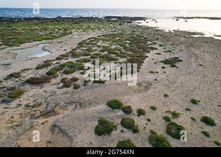 Porto Cesareo est une commune italienne de la province de Lecce dans la région des Pouilles, dans le sud-est de l'Italie.Scinnute, Laguna de Porto Cesareo Banque D'Images